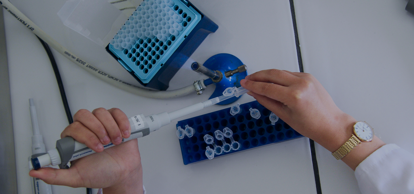 Hands using a pipette to transfer liquid into a small clear vial in a blue rack on a lab bench.